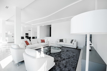 Luxurious and modern living room, dining room and kitchen. Luxurious furniture, sofa, table and chairs.