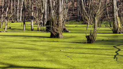Unterwegs in der Stubnitz - der Herthasee