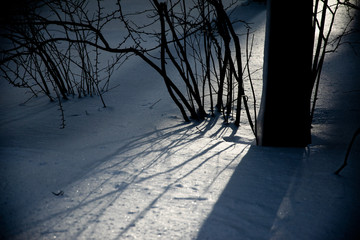 Strip of sunlight on snow