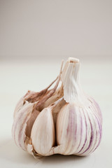 Bulbs of garlic- on bright background