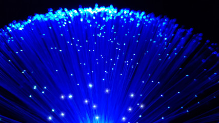 Fototapeta na wymiar Blue optical fiber cables with shining tips on a black background