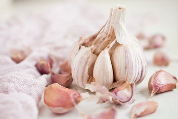 Bulbs of garlic- on bright background