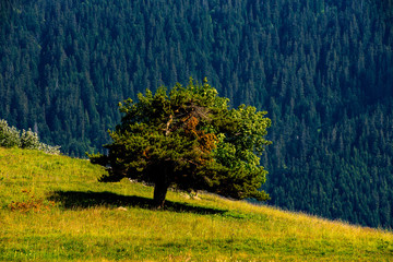 Col du Chaussy - Alpes