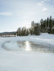Obraz na płótnie Canvas Shots of the Scandinavian Winter