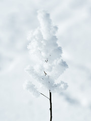 Shots of the Scandinavian Winter