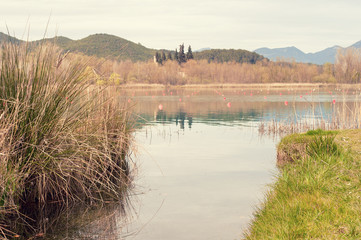 Soft spring landscape near Lake  of Banyoles.  Spain. Catalunya.