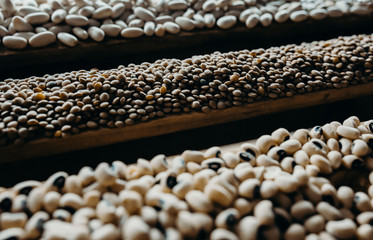 Obraz premium Edible seed mix with lentils and beans. Seed mixture for healthy nutrition 