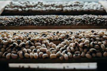 Edible seed mix with lentils and beans. Seed mixture for healthy nutrition 