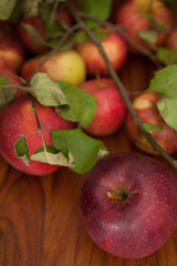 Red organic  apples with leaves