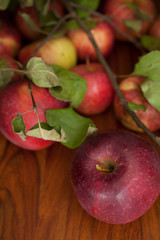 Red organic  apples with leaves