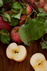 Red organic  apples with leaves