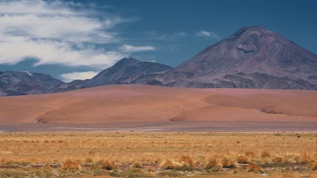 Panned View Onto Spouting Putana Volcano, Chile