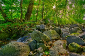 ... Et au milieu coule une rivière