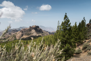 Landscape of Teide national park on Tenerife, Spain