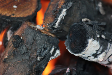 Lagerfeuer Holz Feuer Close Up