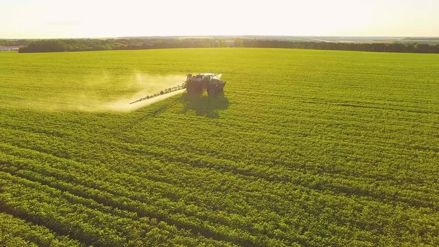 Tractor spraying pesticides on soybean field with sprayer at spring. Aerial Quadcopter Shooting
