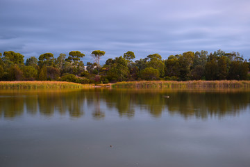 landscape with lake and blue sky