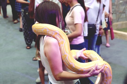 Albino python on asian woman at day trip