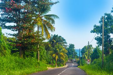 Picturesque country road in Guadeloupe
