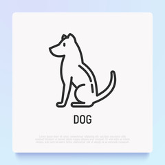 Cartoon dog thin line icon. Modern vector illustration for Chinese horoscope.