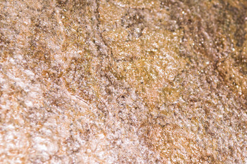 stone texture golden with pink overflowing textureless background