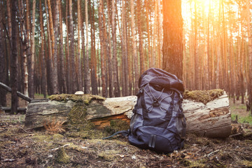 Tourist backpack is standing by a tree in the forest. Concept of a hiking trip to the forest or mountains. Survival in the wild