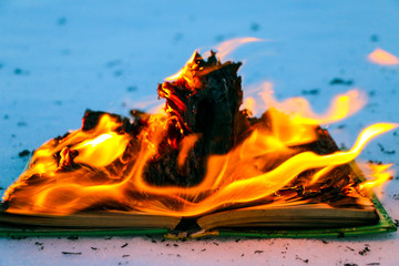 burning book in  snow. pages with the text in  open book burn with  bright flame.