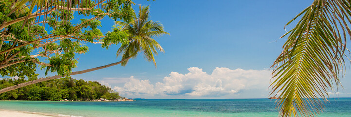 Fototapeta na wymiar Tropical paradise beach panorama with a leaning palm tree