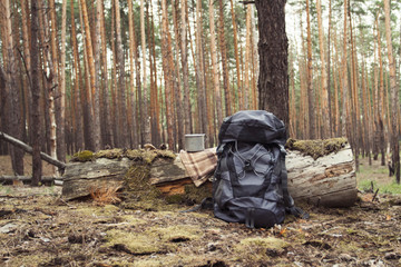 Tourist backpack, metal mug in the forest. Concept of a hiking trip to the forest or mountains