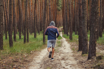 Obraz premium Man in hoodie has workout in a pine forest. Concept of morning matins jogging in outdoor