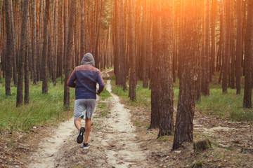 Man in hoodie has workout in a pine forest. Concept of morning matins jogging in outdoor