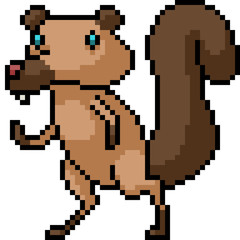 vector pixel art squirrel stand