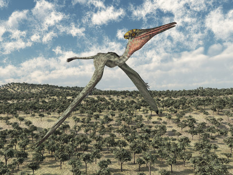 Flugsaurier Pterodactylus über einer Landschaft