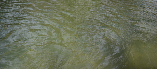 surface of water