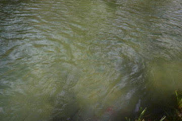 abstract water background