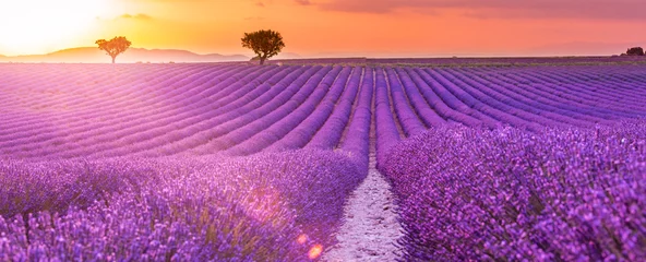 Fototapete Lila Atemberaubende Landschaft mit Lavendelfeld bei Sonnenuntergang. Blühende violette duftende Lavendelblüten mit Sonnenstrahlen mit warmem Sonnenuntergangshimmel.