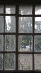 natura drzewo dzieci wiosna