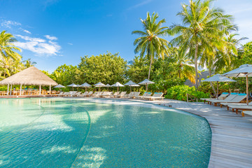 Luxurious poolside with loungers and umbrellas under palm trees and blue sky. Perfect summer beach vacation and holiday, tropical beach resort concept