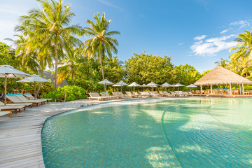 Luxurious poolside with loungers and umbrellas under palm trees and blue sky. Perfect summer beach vacation and holiday, tropical beach resort concept