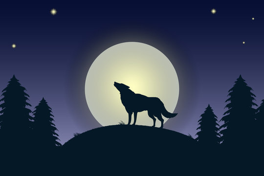 Illustration of the night landscape with the howling wolf.