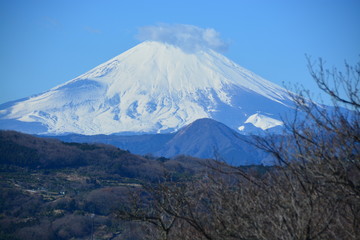 Obraz premium Mt Fuji widziany z parku Azumayama