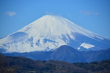 Fototapeta premium 吾妻山公園から眺む富士山