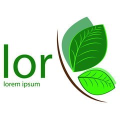 Logo Design with Butterfly