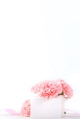 Fototapeta na wymiar Beautiful blooming baby pink tender carnations in a white vase isolated on bright background, may mothers day greeting mum ideas concept photography, close up, copy space, mock up