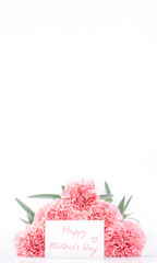 Top view of elegance blooming sweet pink color tender carnations isolated on bright white background with card, may mothers day mum greeting design concept, close up, copy space