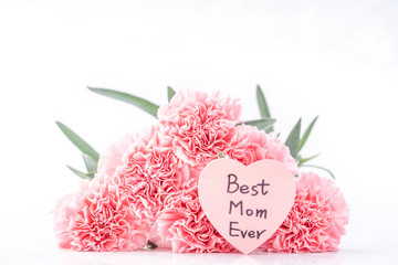 Fototapeta na wymiar Top view of elegance blooming sweet pink color tender carnations isolated on bright white background with card, may mothers day mum greeting design concept, close up, copy space