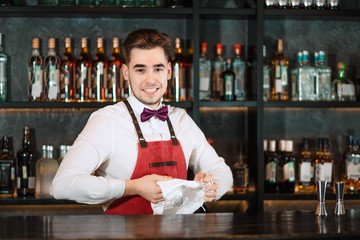 Portrait of smiling handsome young bartender, dressed in uniform with bow tie, friendly smiling at camera while standing at bar counter.