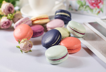 French colorful macarons pastel color pasta on a white background