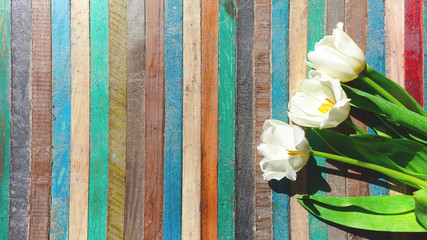 sfondo bello colorato tulipani bianchi