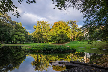 Trees reflected in pond in the Royal Palace Park, Oslo, Norway